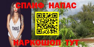 a pvp Ачхой-Мартан