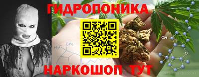 a pvp Ачхой-Мартан