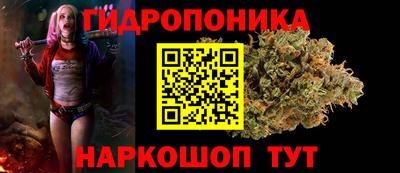 a pvp Ачхой-Мартан