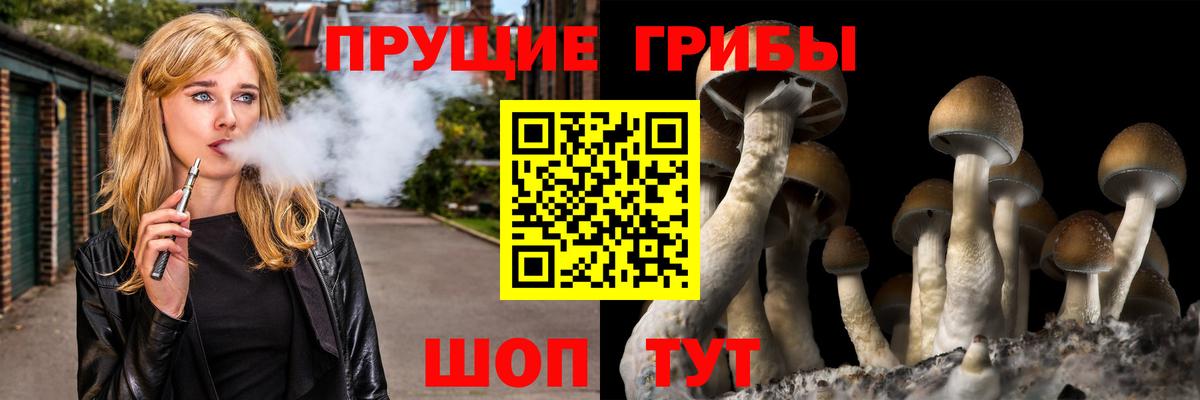 Галлюциногенные грибы прущие грибы  наркошоп  Ревда  Вход с VPN 